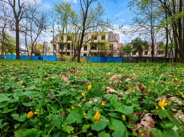 Photo report from the construction site